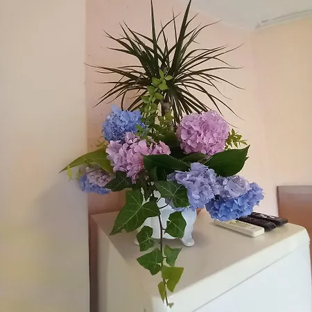 Maria 3* 오파티아