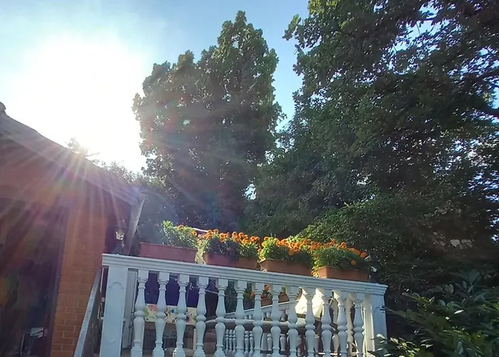 فيلة Maria أوباتيا